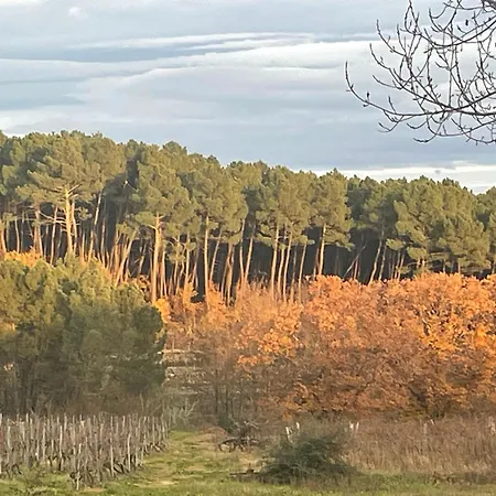 Chez Sophie Villa Rosieres (Ardeche)