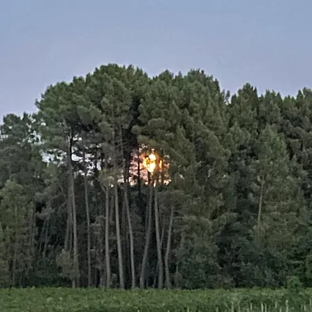 Chez Sophie Rosieres (Ardeche)