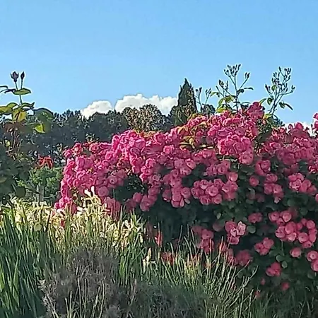 Chez Sophie * Rosieres (Ardeche)