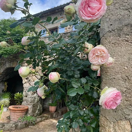 Chez Sophie Villa